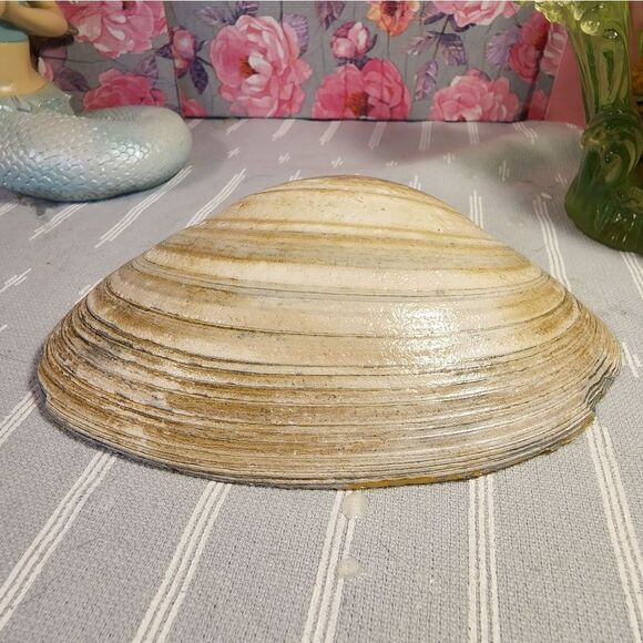 DECOUPAGE CLAM SHELL DECOUPAGE FLOWERS TRINKET DISH - Picture 10 of 10